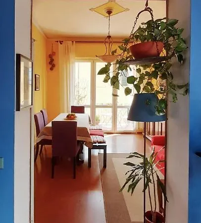 Il Ramingo-3